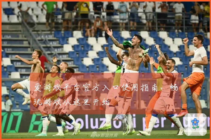 爱游戏平台官方入口使用指南，畅玩游戏从这里开始