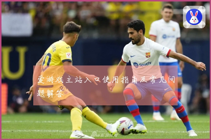 爱游戏主站入口使用指南及常见问题解答