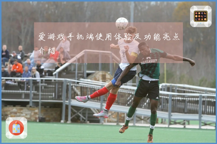 爱游戏手机端使用体验及功能亮点介绍