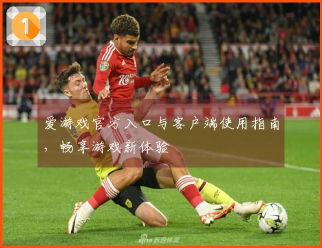 爱游戏官方入口与客户端使用指南,畅享游戏新体验